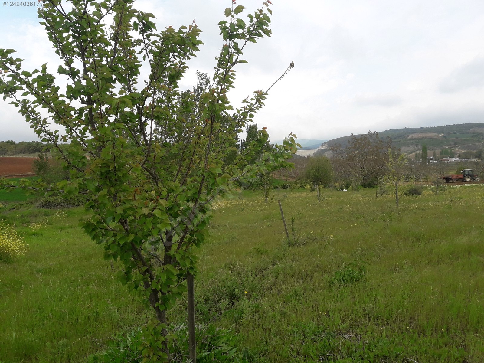 BURSA KARACABEY YEŞİLDERE KÖYÜNDE 2.950 M² TARLA SATILIKTIR - BURSA KARACABEY fotoğraf 15
