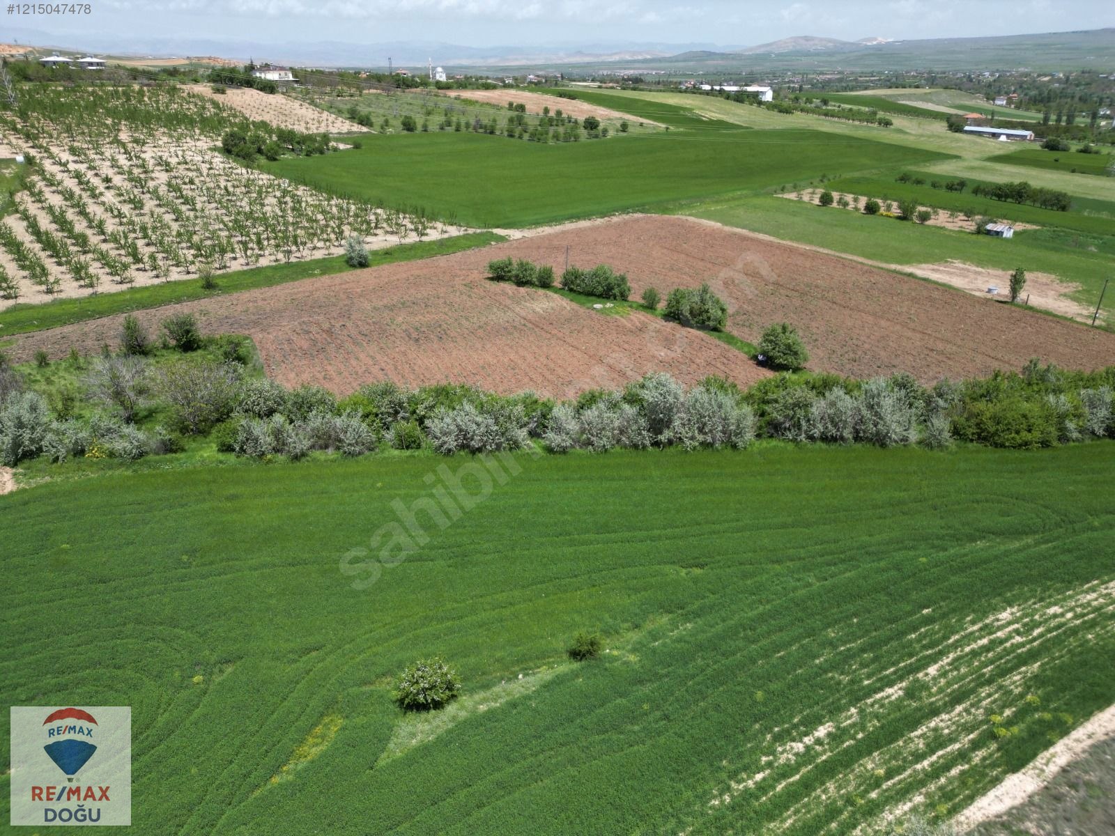 REMAX DOĞU'DAN BEŞİK KÖYÜNDE SATILIK 2182 M² FIRSAT SULU TARLA - ELAZIĞ MERKEZ fotoğraf 13