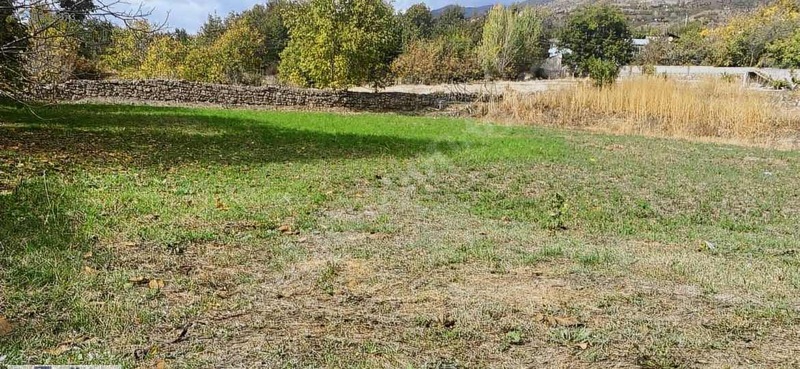 ERZİNCAN  ÜZÜMLÜ ORUÇLU KÖYÜNDE 2.068 M² BAĞ SATILIKTIR. - ERZİNCAN ÜZÜMLÜ fotoğraf 3