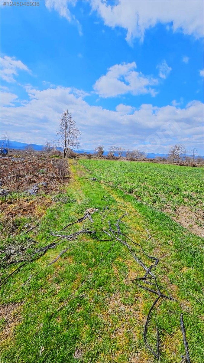 Karabey Köyü'nde Satılık 1800 M² Biber Tarlası - ÇANAKKALE YENİCE fotoğraf 5