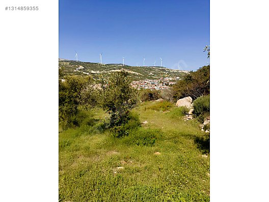 PANORAMİK MANZARALI YATIRIMLIK ZEYTİNLİK - HATAY YAYLADAĞI fotoğraf 32