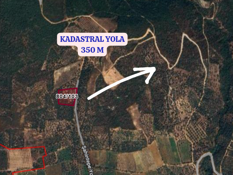 BURSA İZNİK ORHANİYE  KÖYÜNDE  4.481  M² ZEYTİNLİK SATILIKTIR. - BURSA İZNİK fotoğraf 3