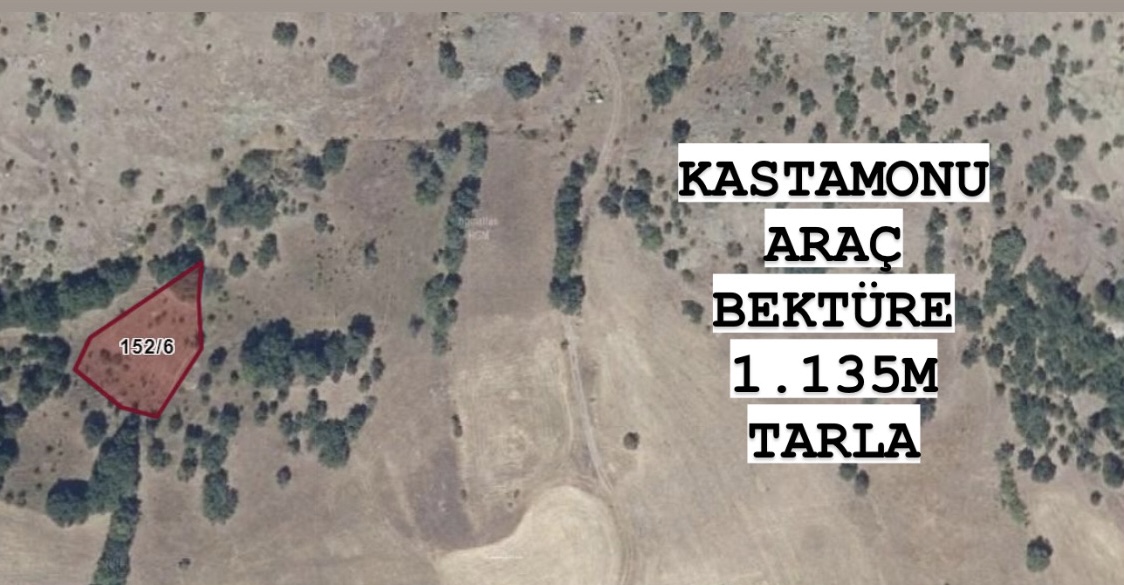 KASTAMONU ARAÇ BEKTÜRE KÖYÜNDE 1.135 M² TARLAMIZ SATILIKTIR. - KASTAMONU ARAÇ fotoğraf 4