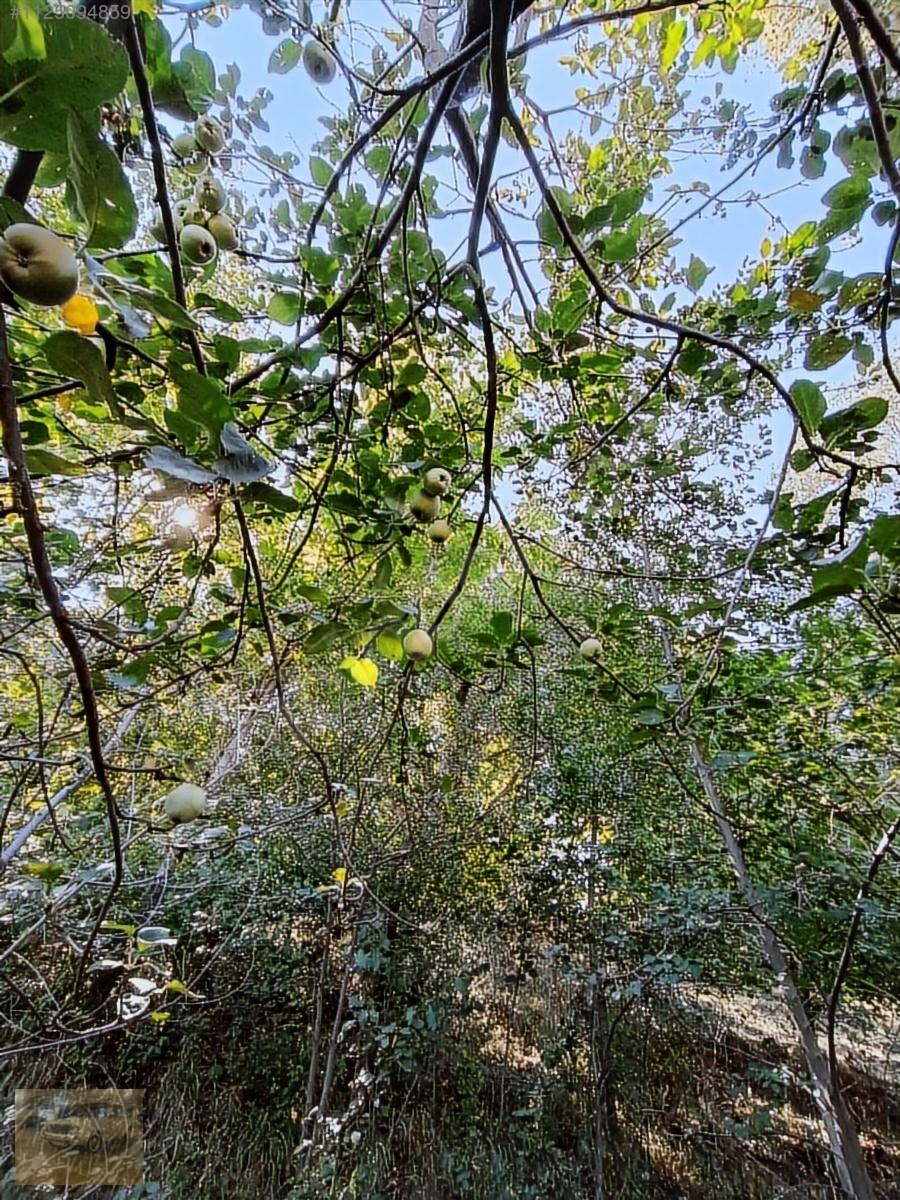 Kemer belenlide kòyiçi arsa bahçe suyu sınırsız sulama - BURDUR KEMER fotoğraf 2