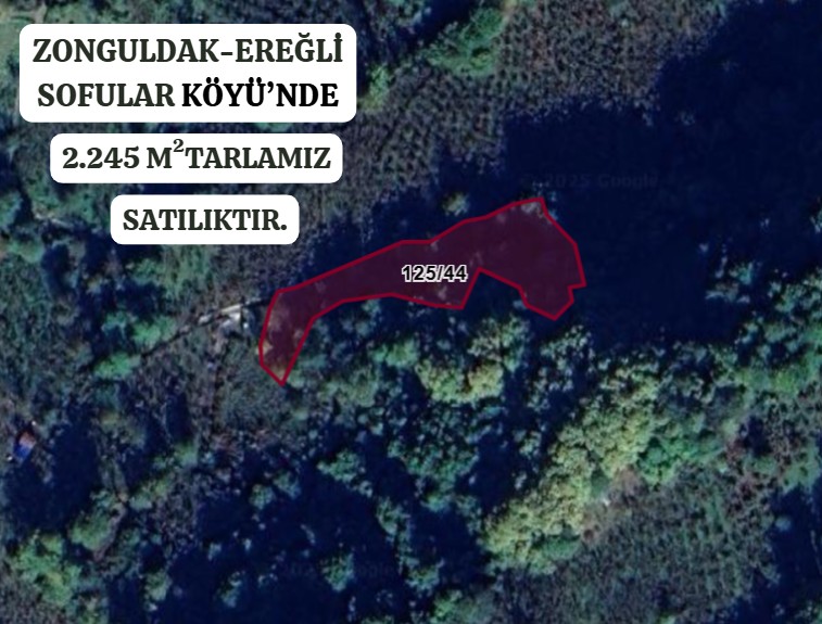 ZONGULDAK EREĞLİ SOFULAR KÖYÜ’NDE 2.245 M² BAĞMIZ SATILIKTIR - ZONGULDAK EREĞLİ fotoğraf 2