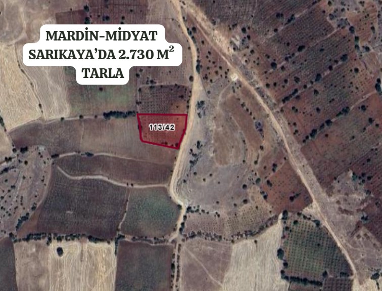 MARDİN MİDYAT SARIKAYA  MAHALLESİ’NDE 2.730 M² TARLA SATILIKTIR - MARDİN MİDYAT fotoğraf 2