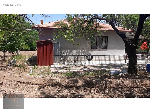 EMTİA'DAN DİLEK MERKEZ'DE SATILIK KAYSI BAHÇESİ - MALATYA YEŞİLYURT fotoğraf 3