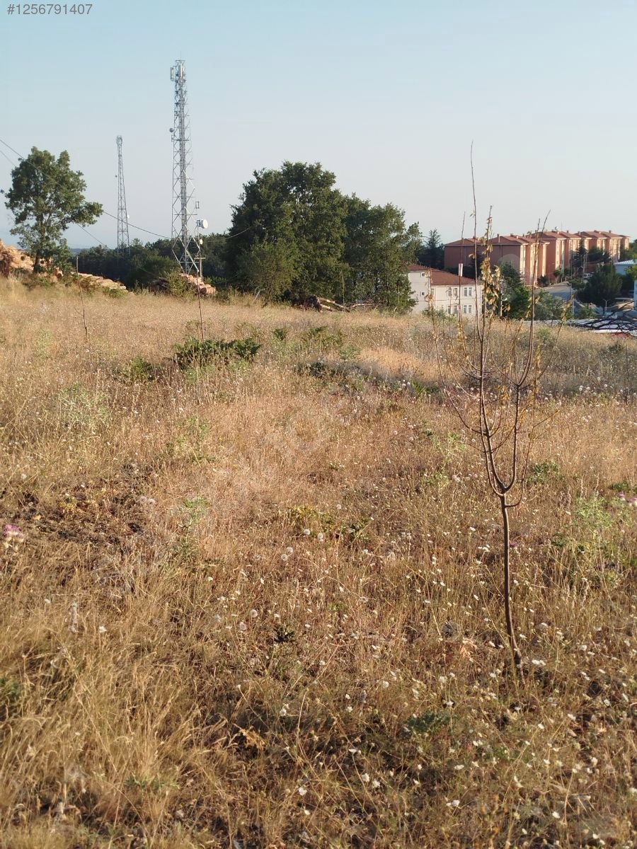 BURSA KELES YENİCE KÖYÜNDE 235  M² ARSA  SATILIKTIR - BURSA KELES fotoğraf 10