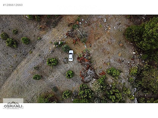 ARAÇ TAKASLI 3.150 M2, İLÇEYE 5 DK MESAFEDE YATIRIM FIRSATI - BİLECİK SÖĞÜT fotoğraf 10
