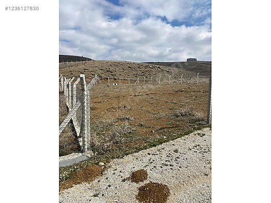 ANKARA ELMADAĞ HASANOĞLU HAVUZBAŞI KÖYÜNDE 600 M²  ARSA SATILIKTIR - ANKARA ELMADAĞ fotoğraf 3