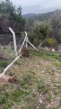 Seferihisar Ulamış Köyü Satılık 1.700M2 Zeytinlik Ve Konteyner - İZMİR SEFERİHİSAR fotoğraf 2