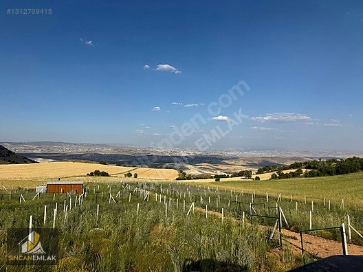 AYAŞ BAŞAYAŞ MAHALLESİNDE SATILIK FIRSAT HOBİ BAHÇELERİ - ANKARA AYAŞ fotoğraf 6