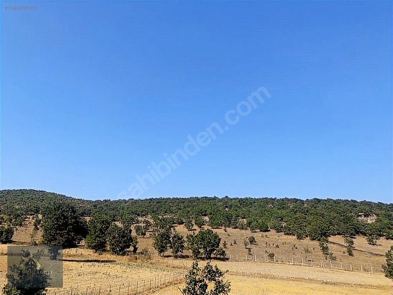 YOK BÖYLE FİYAT!! 45.321 M2 DURSUNBEY/KARAMANLARDA FIRSAT ARAZİ - BALIKESİR DURSUNBEY fotoğraf 5