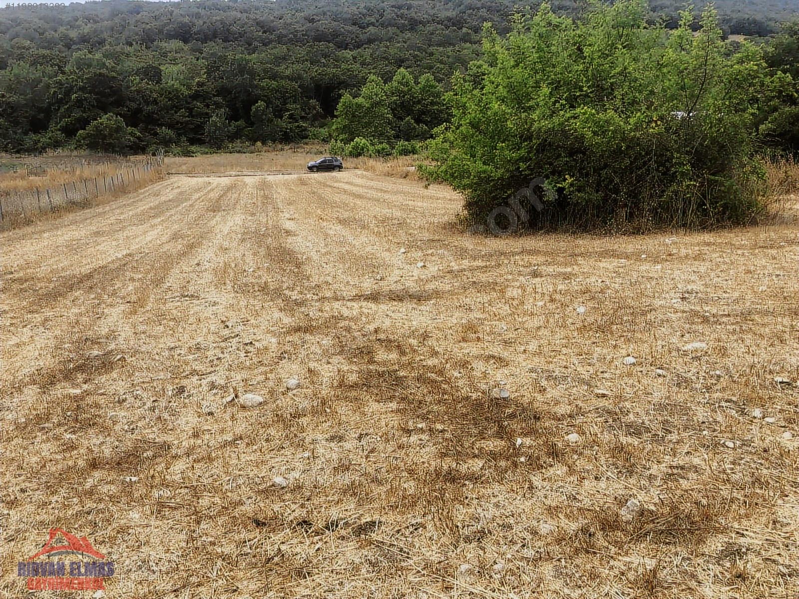 Kandıra Sarnıçlar köyünde doğa içinde satılık arazi - KOCAELİ KANDIRA fotoğraf 5