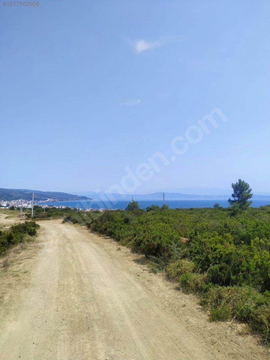 YALOVA ARMUTLU KARŞIYAKA  348  M² TARLAMIZ SATILIKTIR - YALOVA ARMUTLU fotoğraf 3