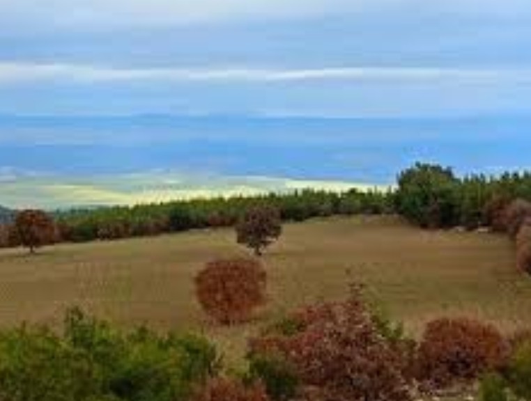 UŞAK EŞME AKÇAKÖY KÖYÜNDE 8.675 M² TARLA SATILIKTIR - UŞAK EŞME fotoğraf 5