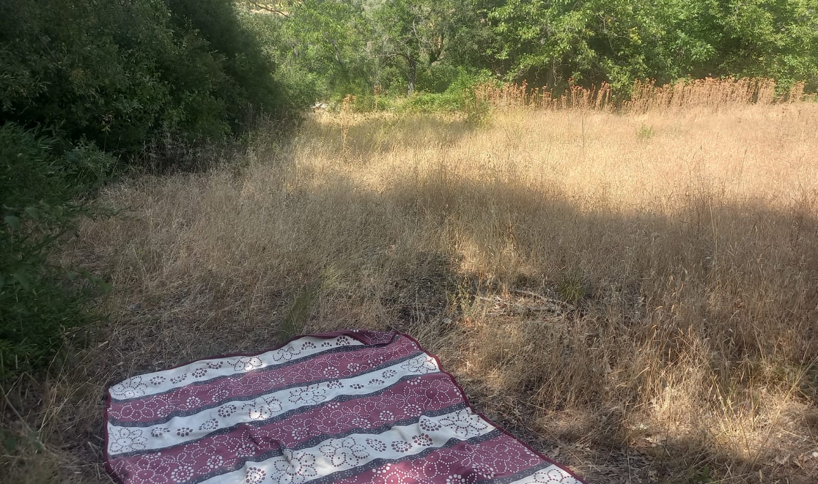 ANTALYA GÜNDOĞMUŞ PAMBELİK  KÖYÜNDE 572  M² TARLA   SATILIKTIR - ANTALYA GÜNDOĞMUŞ fotoğraf 7