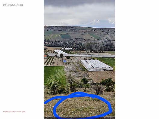 ISPARTA YALVAÇ ÇETİNCEDE 13500 M2 İÇİNDE 100 KADAR YETİŞMİŞ ELMA - ISPARTA YALVAÇ fotoğraf 7