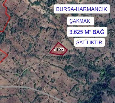 BURSA HARMANCIK ÇAKMAK MAH. 3.625M²  BAĞIMIZ SATILIK - BURSA HARMANCIK fotoğraf 6