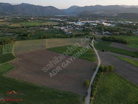 SAKARYA ARİFİYE Y.KİRAZ MAH.İMAR SINIRINA300 MT YATIRIMLIK TARLA - SAKARYA ARİFİYE fotoğraf 18