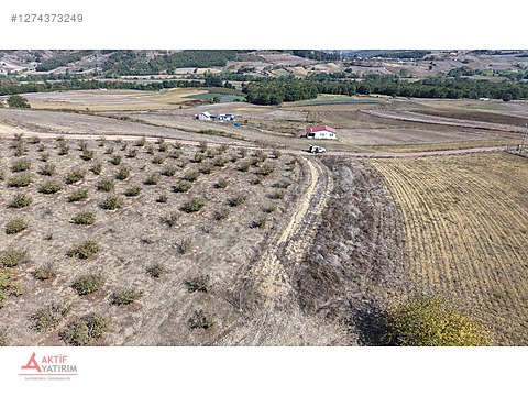 KANDIRA'DA YERLEŞİM KENARI TERAS KONUMDA 1210 M2 SATILIK TARLA - KOCAELİ KANDIRA fotoğraf 16