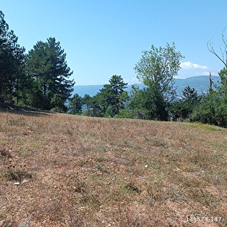 ORMAN İÇİNDE ARAZİ - BOLU GÖYNÜK fotoğraf 6