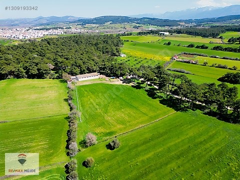 Çanakkale Bayramiç Kutluoba Satılık Tarla - ÇANAKKALE BAYRAMİÇ fotoğraf 14