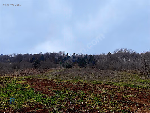 Gölcük İrşadiyede Eriklitepe Yatırımlık Arsa - KOCAELİ GÖLCÜK fotoğraf 8