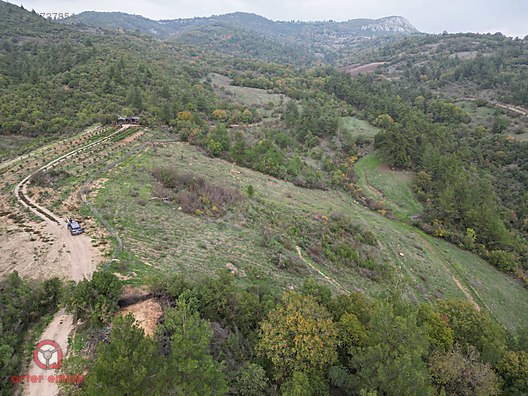 ARTER EMLAK'TAN KEPSUT DERELİ'DE SATILIK 2 ARSA TOPLAM 1000 m² - BALIKESİR KEPSUT fotoğraf 4