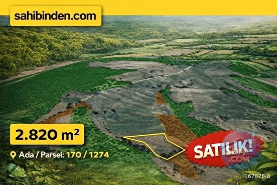 Aslanapa Çamdibinde Gölete Yakın, Orman Komşusu Fırsat Arazi - KÜTAHYA ASLANAPA fotoğraf 5