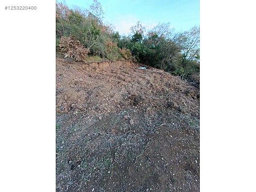 BURSA MUDANYA KAYMAKOBA KÖYÜNDE 537 M TARLA SATILIKTIR - BURSA MUDANYA fotoğraf 3