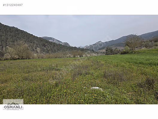 GÖKSU NEHRİ KENARINDA 2.600 M2 RESMİ YOLLU DÜZ ARAZİ- OSMANLIDAN - BİLECİK OSMANELİ fotoğraf 10