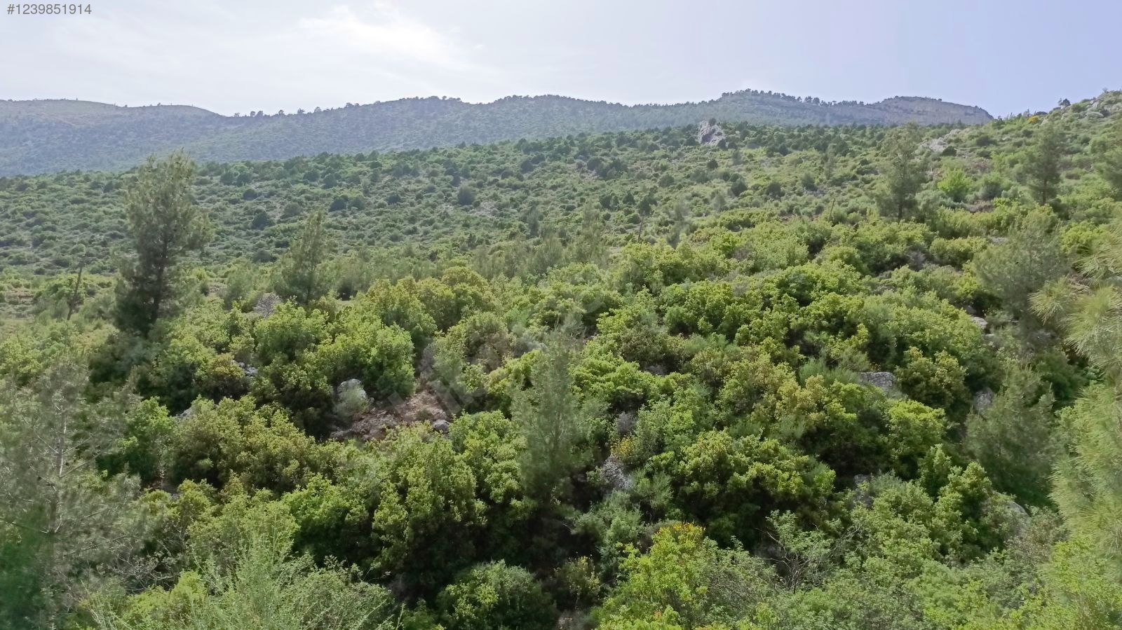   Mersin / Aydıncık / Duruhan Mh. 1.834M² TARLA SATILIKTIR.   - MERSİN AYDINCIK fotoğraf 2