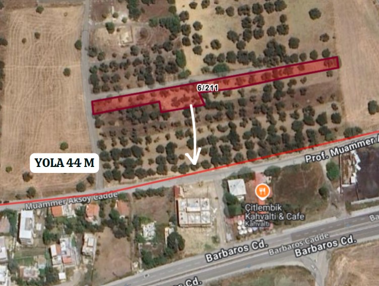 İZMİR ALİAĞA ÇAKMAKLI KÖYÜ’NDE ZEYTİNLİ TARLANIN 117 M²’Sİ SATILIKTIR - İZMİR ALİAĞA fotoğraf 6