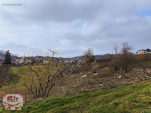 Kocaali Kirazlı'da 4.286m² Fındık Bahçesi ve 780m² İmarlı Arsa - SAKARYA KOCAALİ fotoğraf 20