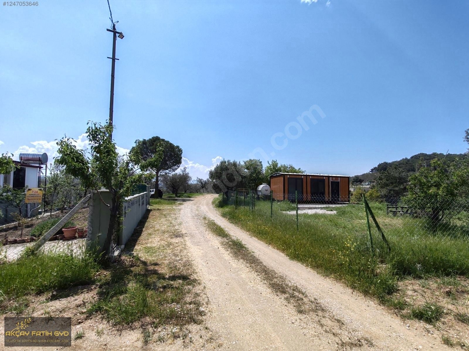 Hacıarslanlar da 3.100m2 SATILIK Kaçmaz Fırsat Zeytinlik - BALIKESİR EDREMİT fotoğraf 20