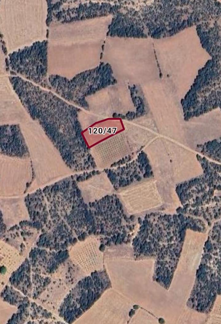 UŞAK KARAHALLI KAVAKLI MAH. 1.507M² TARLA SATILIKTIR - UŞAK KARAHALLI fotoğraf 3