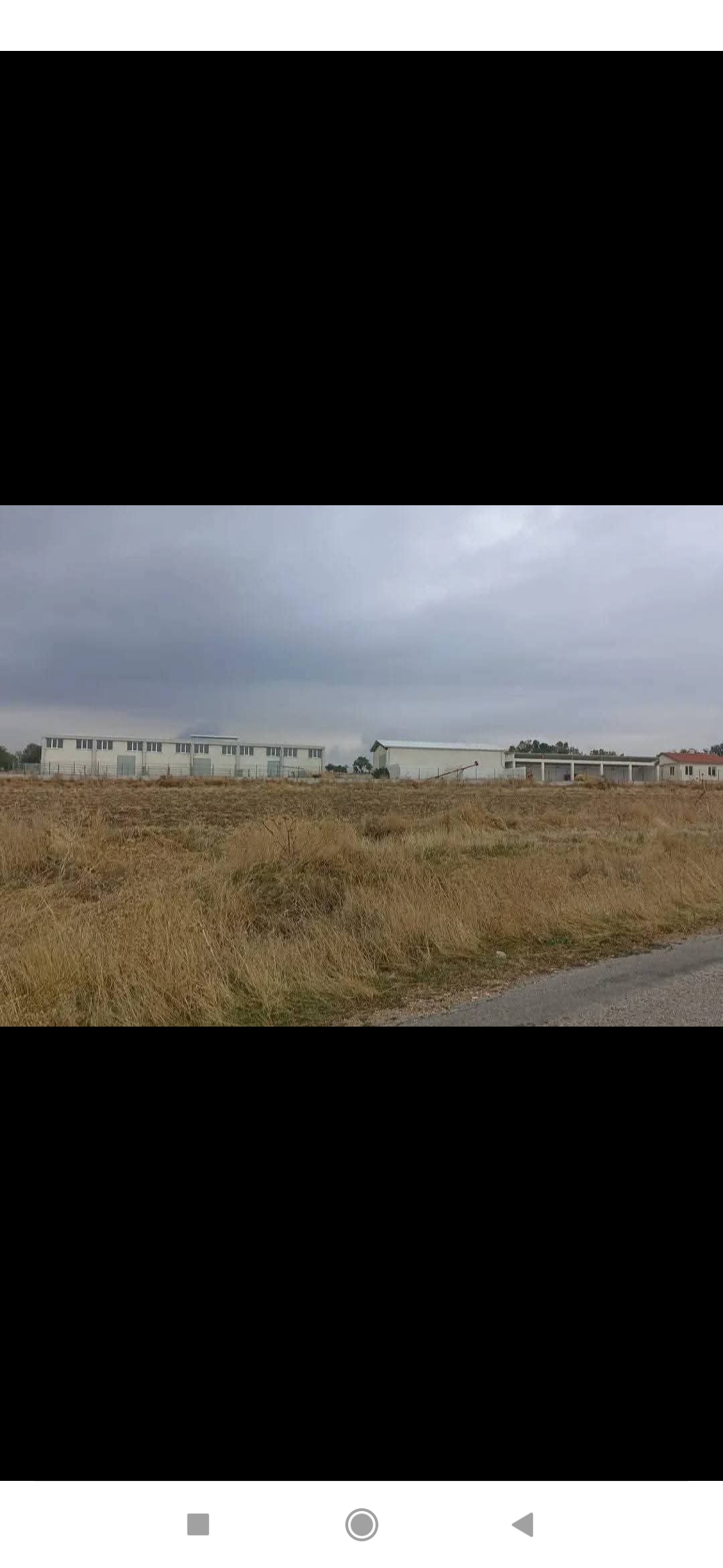 Satılık büyük baş hayvan çiftliği  - UŞAK SİVASLI fotoğraf 9