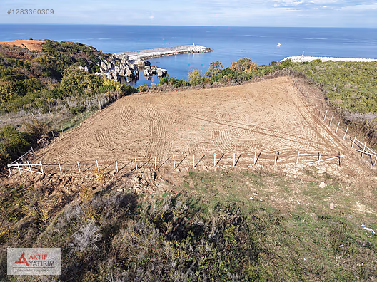 BAĞIRGANLI'DA DENİZE SIFIR KONUMDA 1483 M2 EŞSİZ MANZARALI TARLA - KOCAELİ KANDIRA fotoğraf 2