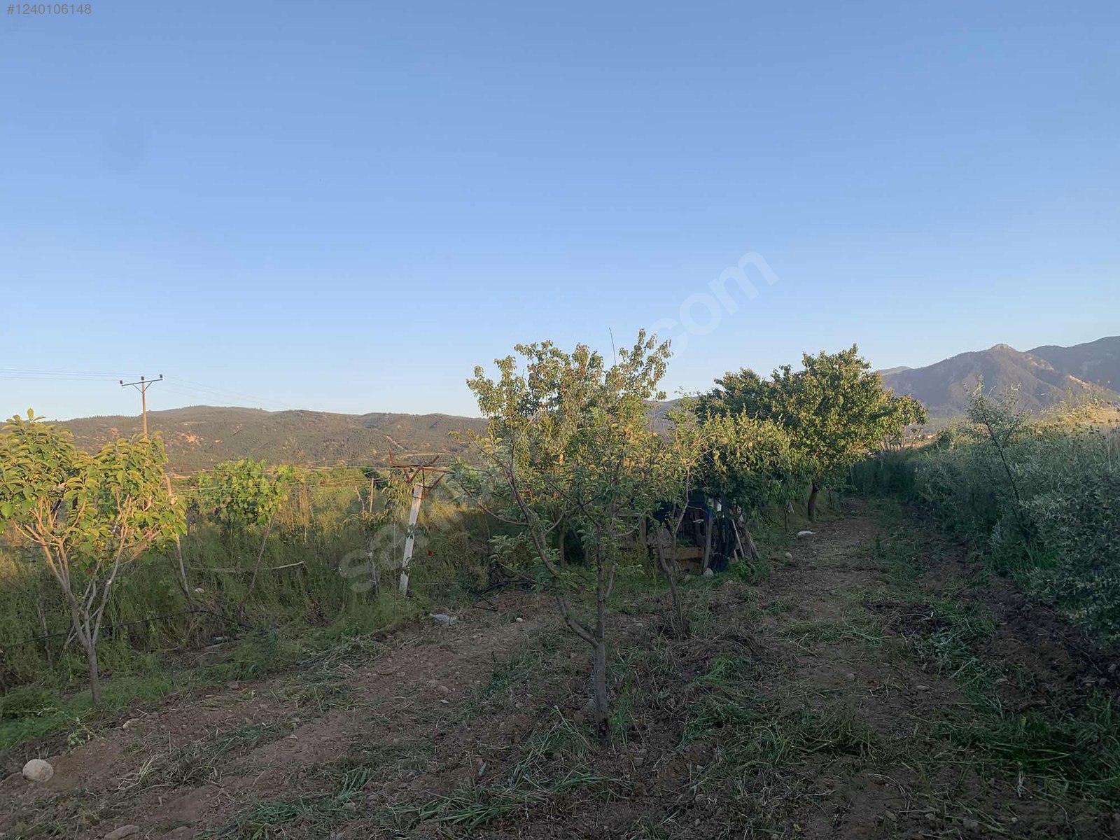 DENİZLİ HONAZ KOCABAŞ MAHALLESİNDE  688 M² TARLA  SATILIKTIR - DENİZLİ HONAZ fotoğraf 11
