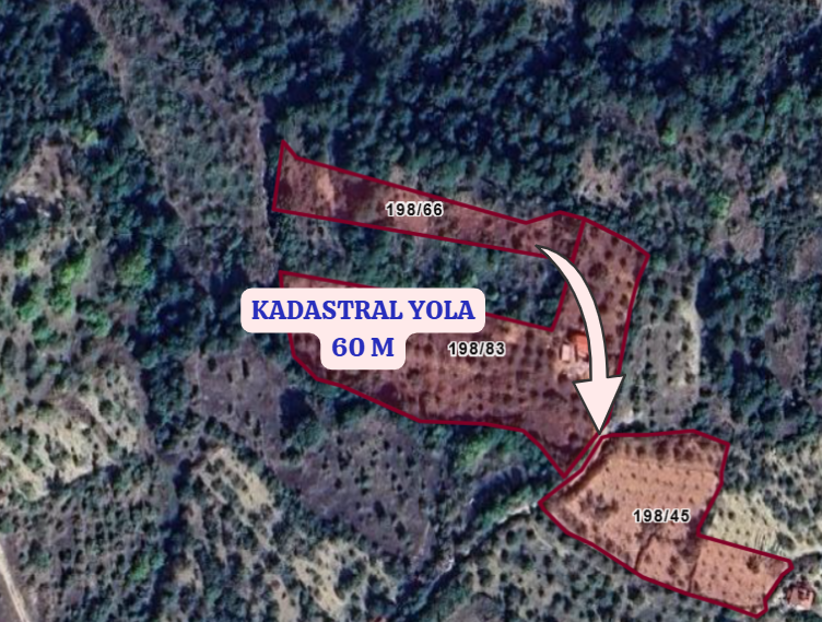   KÜTAHYA ŞAPHANE SUBAŞI KÖYÜNDE  1.609 M²  BAHÇE SATILIKTIR - KÜTAHYA ŞAPHANE fotoğraf 3