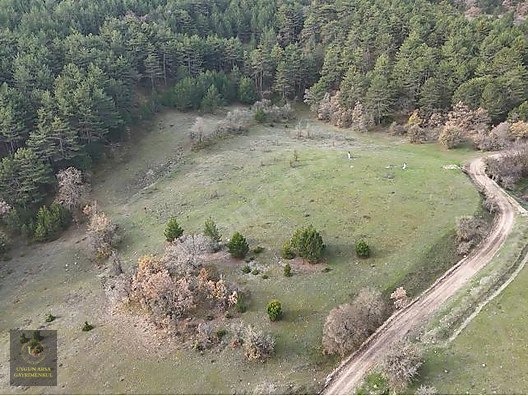 BOLU MUDURNU'DA OTELLER BÖLGESİNDE 7.965M2 UYGUN ARSA - BOLU MUDURNU fotoğraf 24