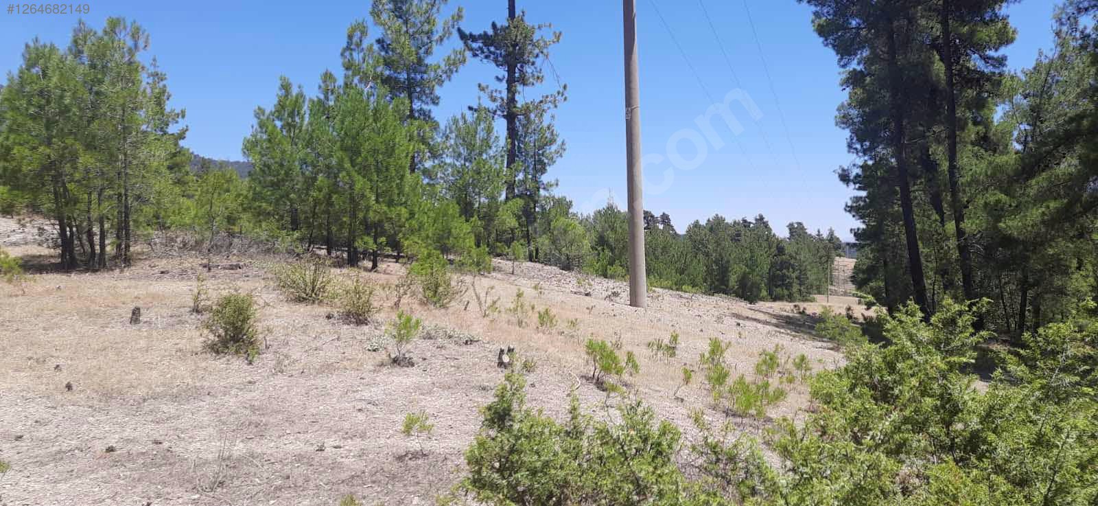 DENİZLİ ACIPAYAM OLUKBAŞI  KÖYÜNDE 2.570 M² TARLA SATILIKTIR