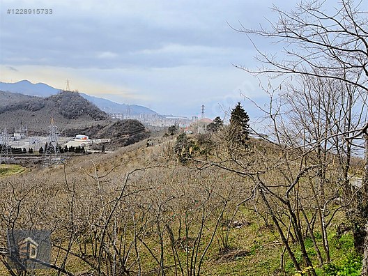 Tirebolu Avcılı Köyünde Satılık 5370 m2 Satılık Arsa. - GİRESUN TİREBOLU fotoğraf 3