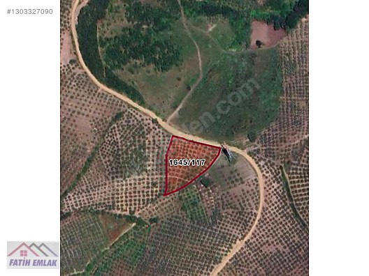 GEMLİK MURATOBA KÖYÜNDE 4695m² SATILIK ZEYTİNLİK - BURSA GEMLİK fotoğraf 12
