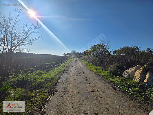 SAKARYA KAYNARCA CEBEK 2786 M2 KARE ORMANA CEPHELİ RESMİ YOLLU - SAKARYA KAYNARCA fotoğraf 8
