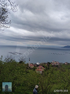 perşembe kaleyka mah 12 daire lik arazi satılık. - ORDU PERŞEMBE fotoğraf 5
