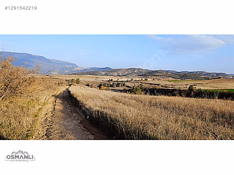 7.480 M2, RESMİ YOLA CEPHELİ, MANZARALI, %5 İMARLI SATILIK ARAZİ - BİLECİK SÖĞÜT fotoğraf 3