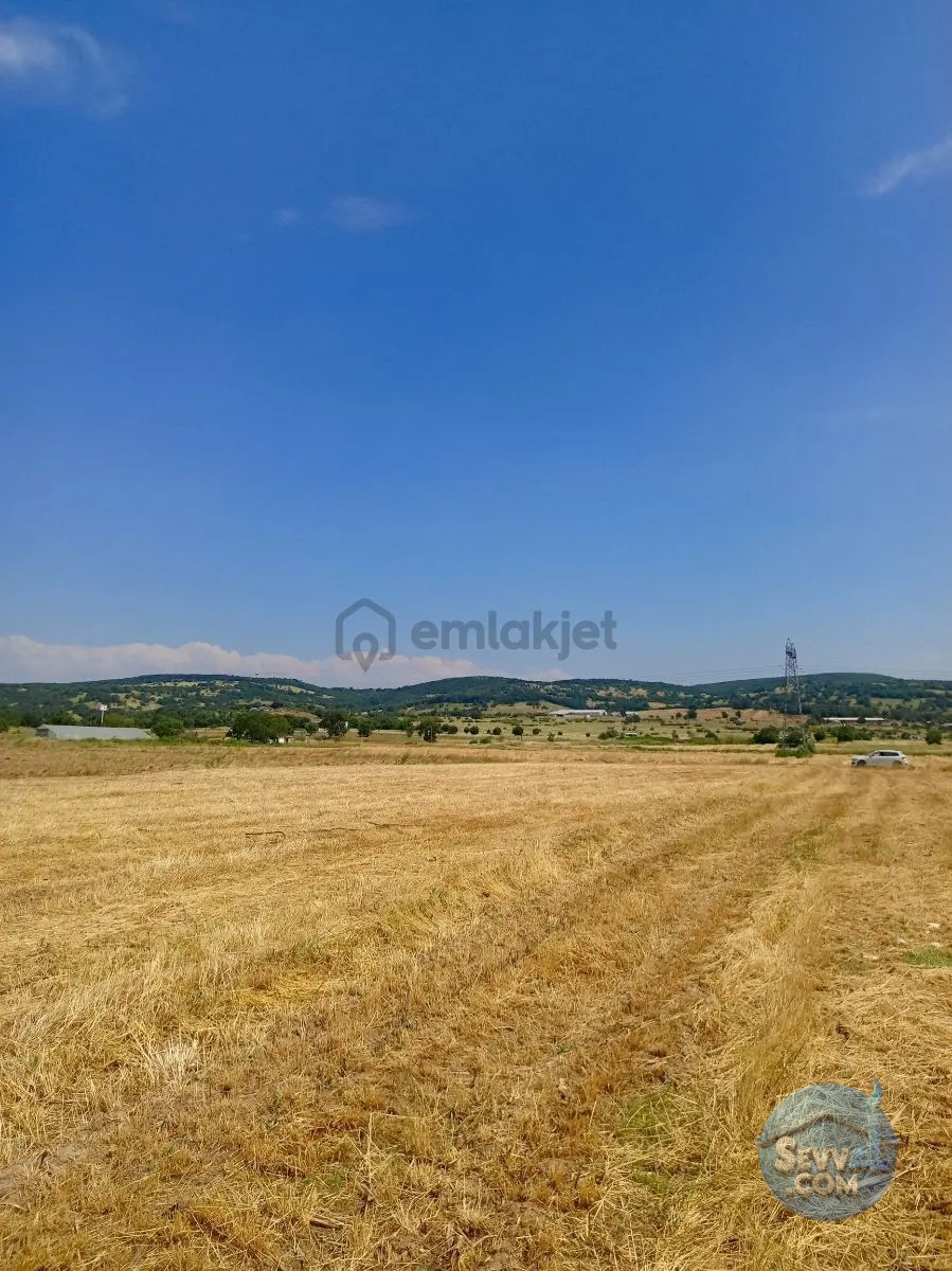 Gökçeyazı Da Kadastro Yolu Mevcut Tarla - BALIKESİR İVRİNDİ fotoğraf 10