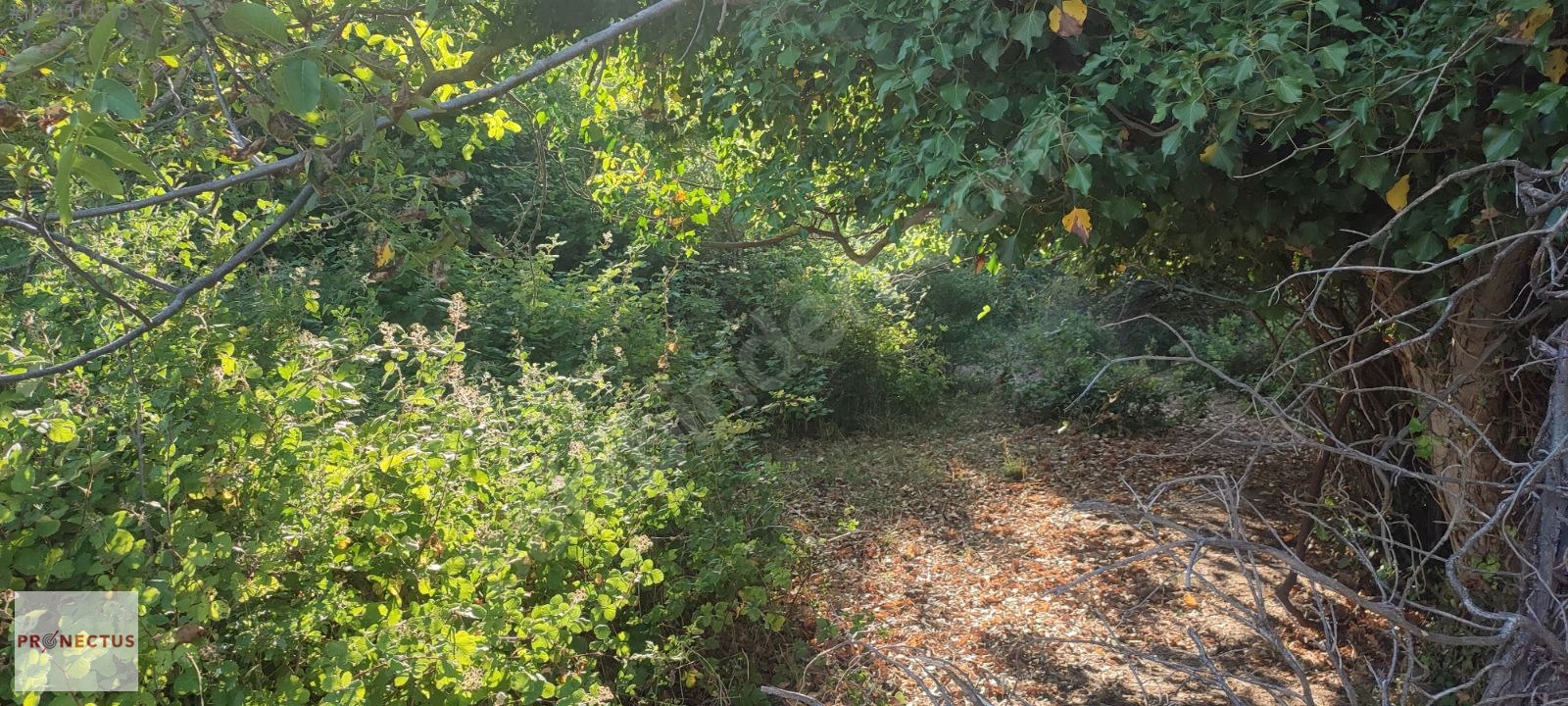 KARAPINAR MAH. 890 M2 SATILIK KONUT İMARLI ARSA - KOCAELİ KARAMÜRSEL fotoğraf 3